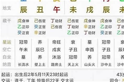 2024丁火|丁火日主2024甲辰年运：附六大日柱详解